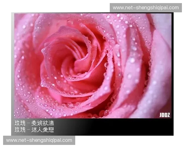 清澈之韵，浪漫之樱：一场关于纯粹与绽放的对话